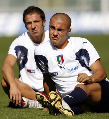 具有天然适 具有天然适