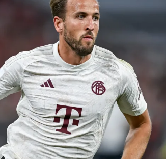 区回合质量 区回合质量